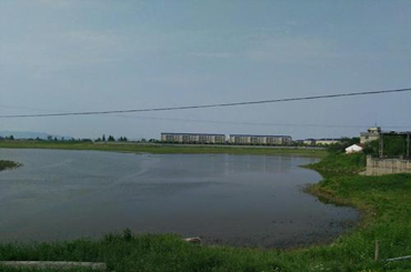 �˷���Ϸ��(�й�)����